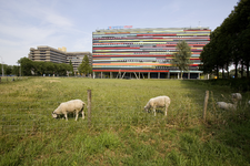 806351 Gezicht op het gebouw van de faculteit Educatie van de Hogeschool Utrecht (Padualaan 97), met op de voorgrond ...